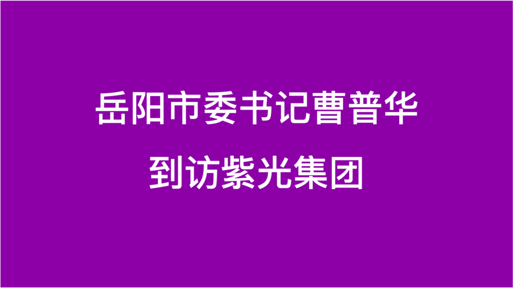 岳阳市委书记曹普华到访大阳城集团